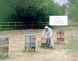 The Wild Bee Handbook The Amazing Lives of Our Wild Species and How to Help Them Thrive By: Sarah Wyndham Lewis