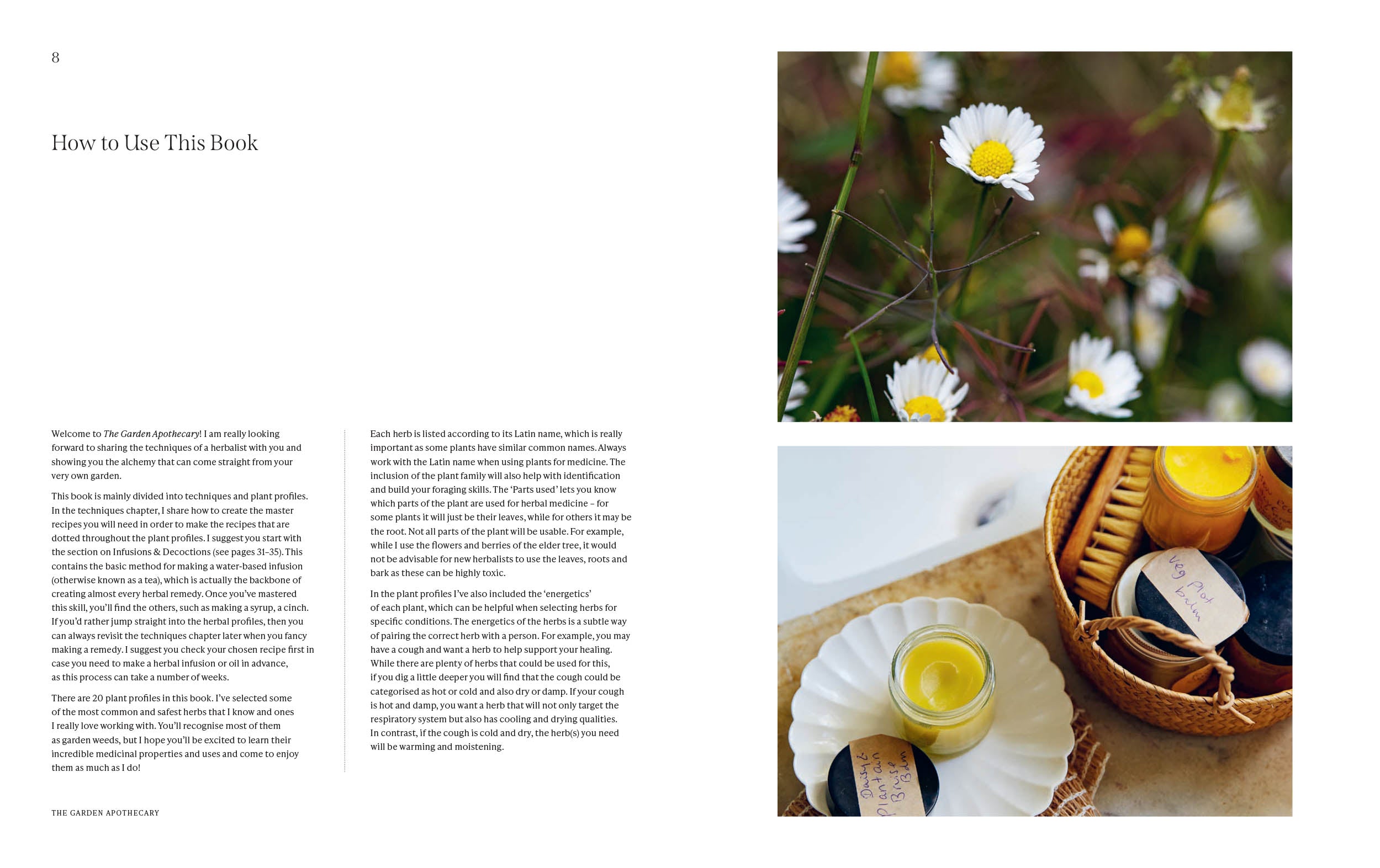 The Garden Apothecary Transform Flowers, Weeds and Plants into Healing Remedies By: Becky Cole Secondary image