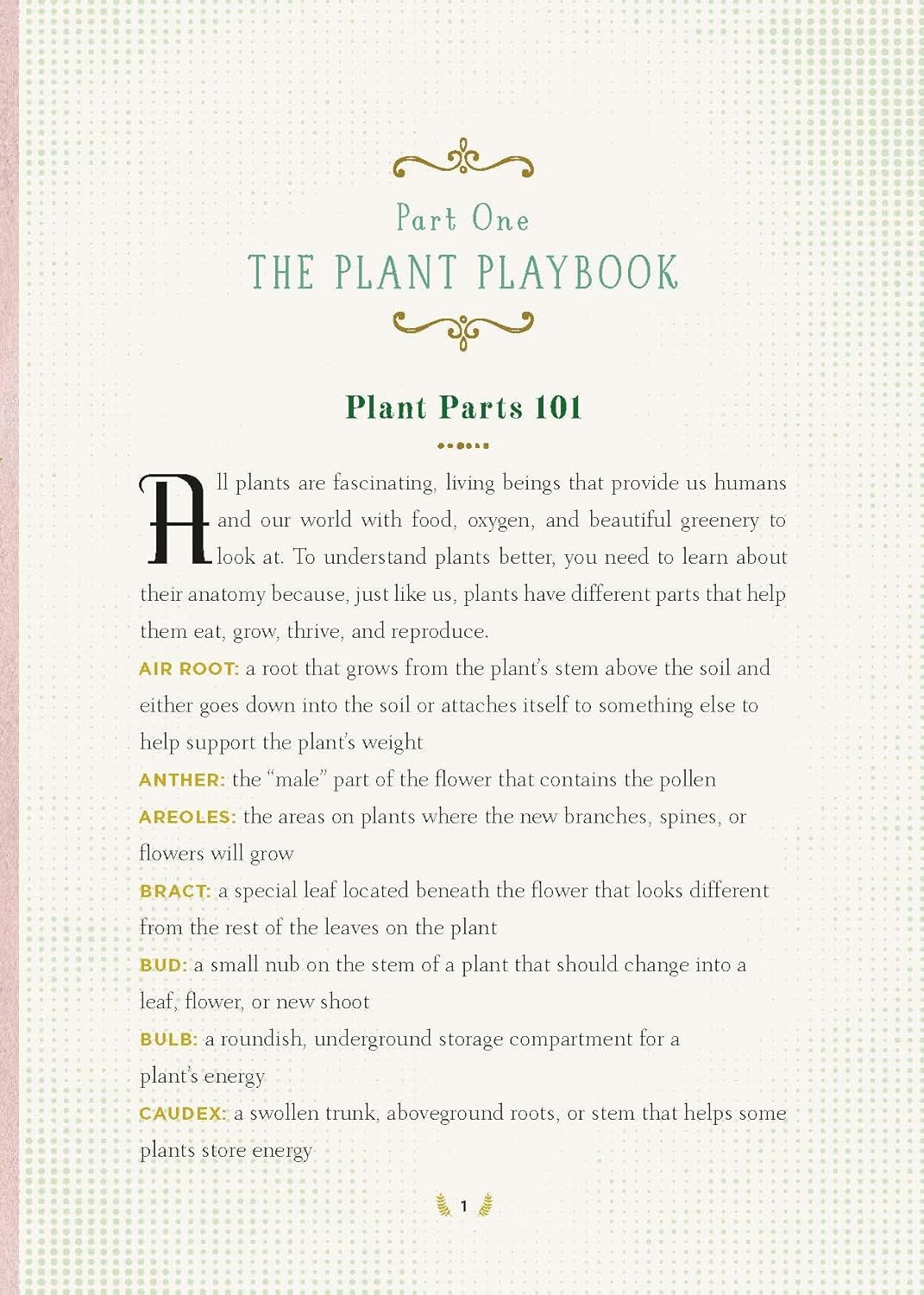 The Junior Plant Lover's Handbook: A Green-Thumb Guide for Kids by Molly Williams (Author), Michelle Carlos (Illustrator)