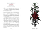 The Physick Garden: A Journey Through Ancient Cures