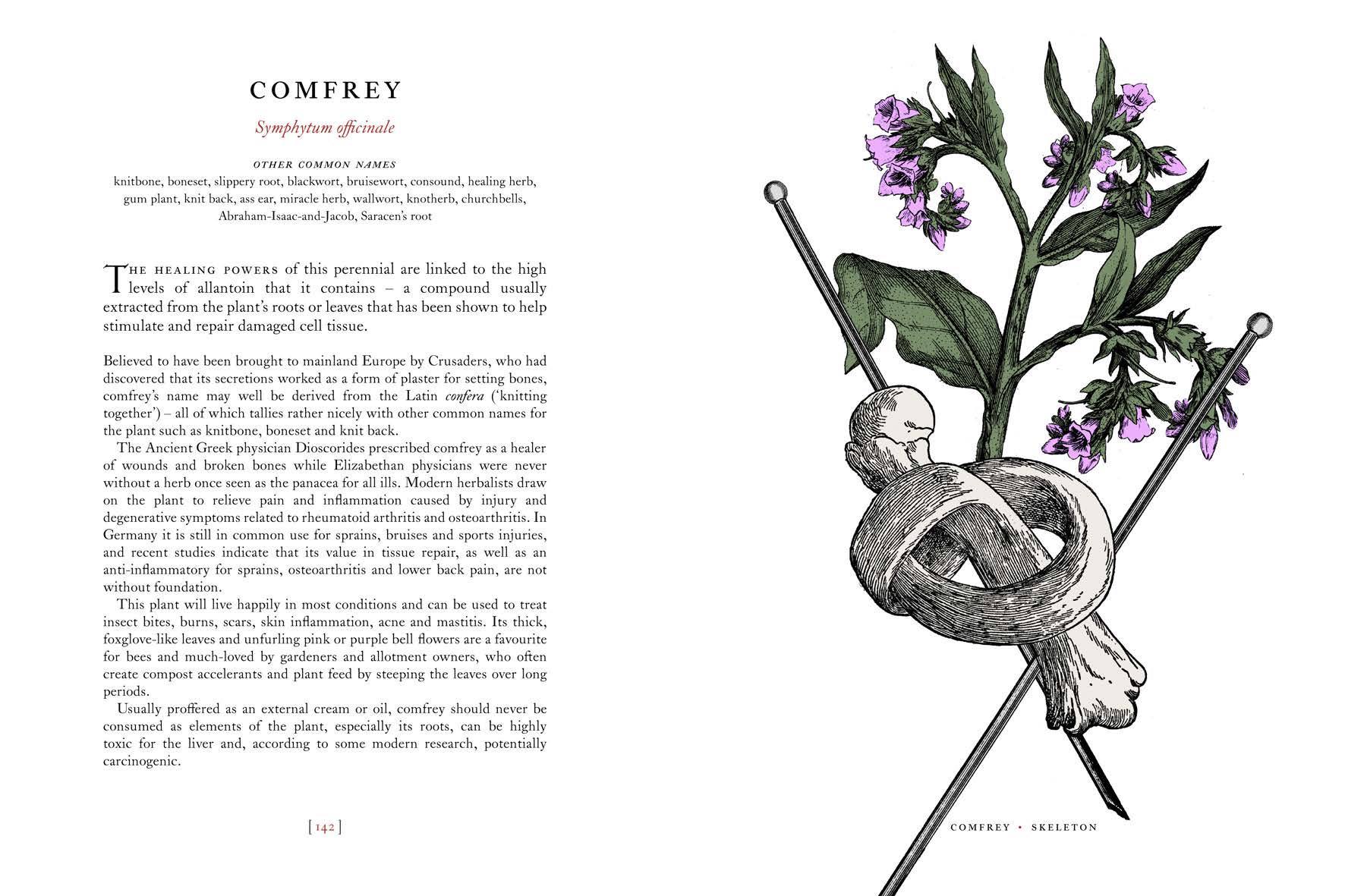 The Physick Garden: A Journey Through Ancient Cures Secondary image