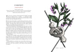 The Physick Garden: A Journey Through Ancient Cures