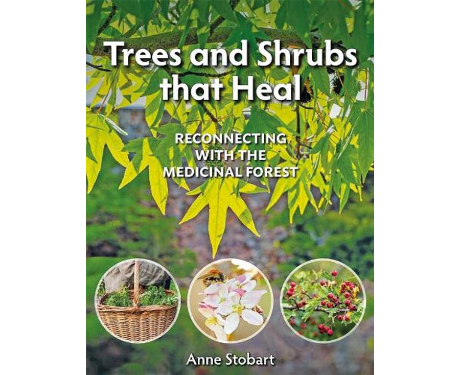 trees and shrubs that heal