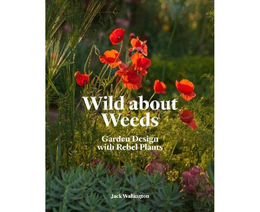 Wild about Weeds Garden Design with Rebel Plants By: Jack Wallington Main image