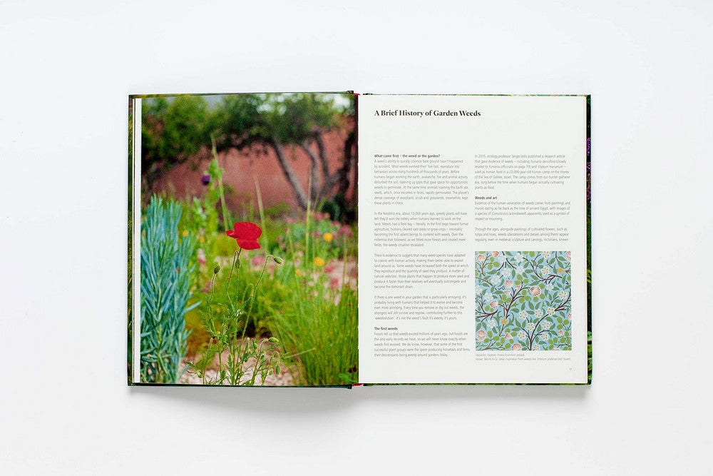 Wild about Weeds Garden Design with Rebel Plants By: Jack Wallington