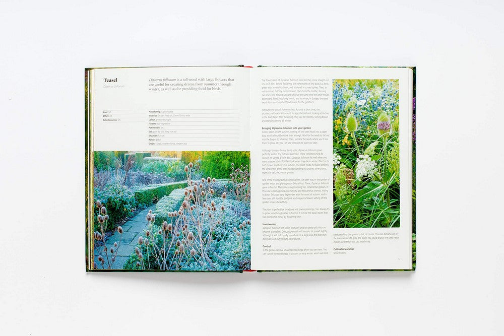 Wild about Weeds Garden Design with Rebel Plants By: Jack Wallington