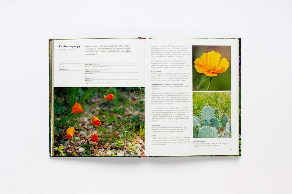 Wild about Weeds Garden Design with Rebel Plants By: Jack Wallington
