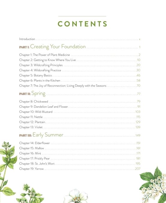 Wild remedies - How to Forage Healing Foods and Craft Your Own Herbal Medicine By: Rosalee de la Foret, Emily Han Secondary image