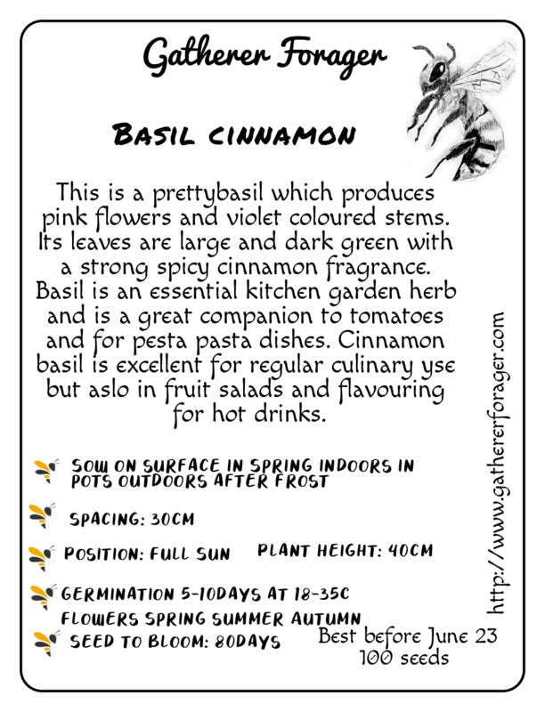 Basil cinnamon Secondary image