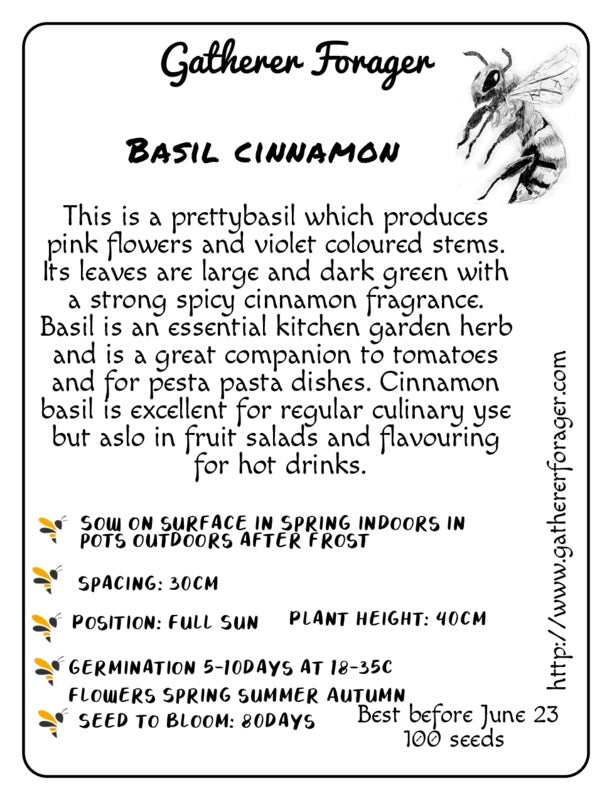 Cinnamon Basil Seeds Tasmania