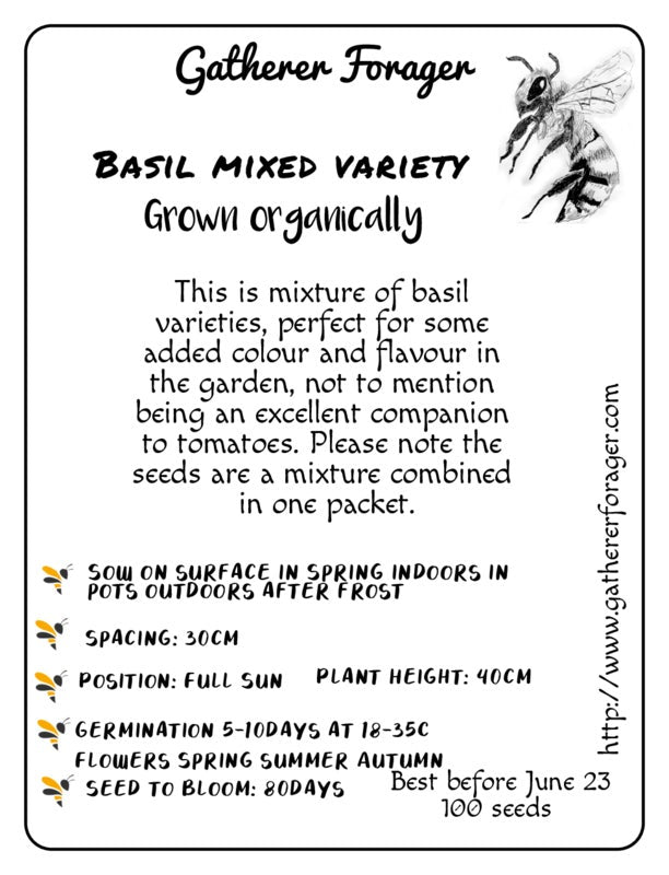 Basil 10 variety mix