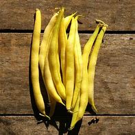 Bean Cherokee wax seeds Main image