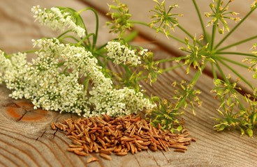 Caraway Seeds