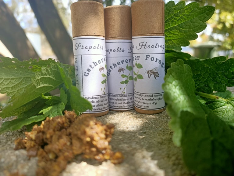 Propolis Healing Lip balm Main image