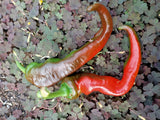 Mixed Chilli and Capsicum
