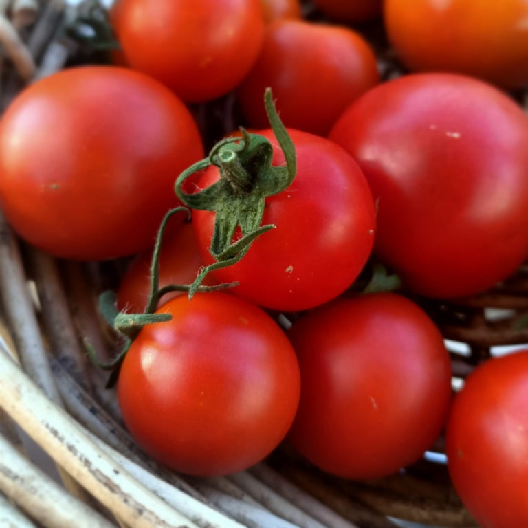 Grow your own Tomato with Australian seed 