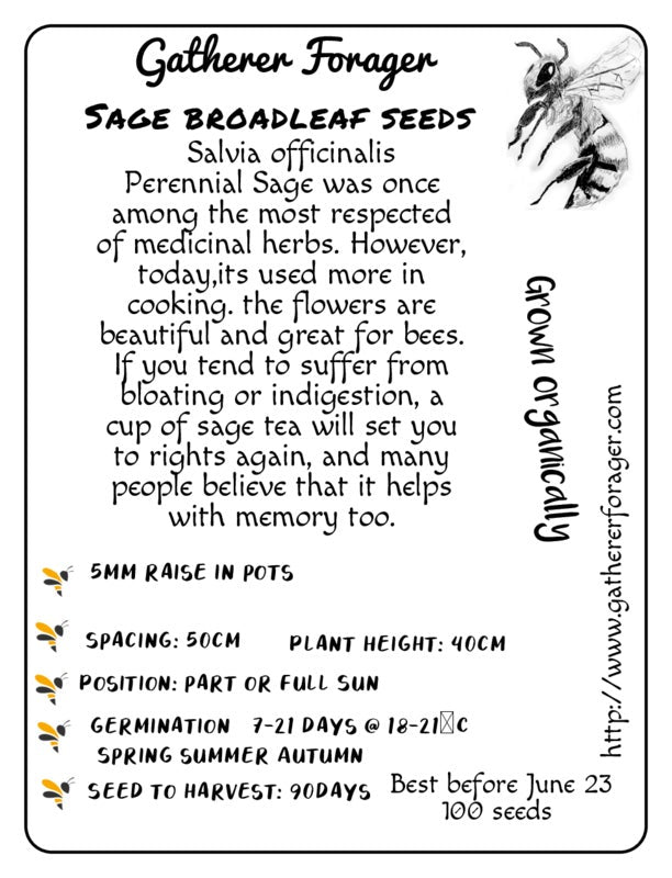 Sage Herb seeds Australia