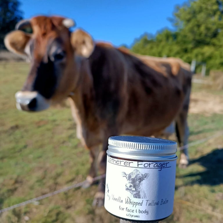 Tasmanian tallow balm 