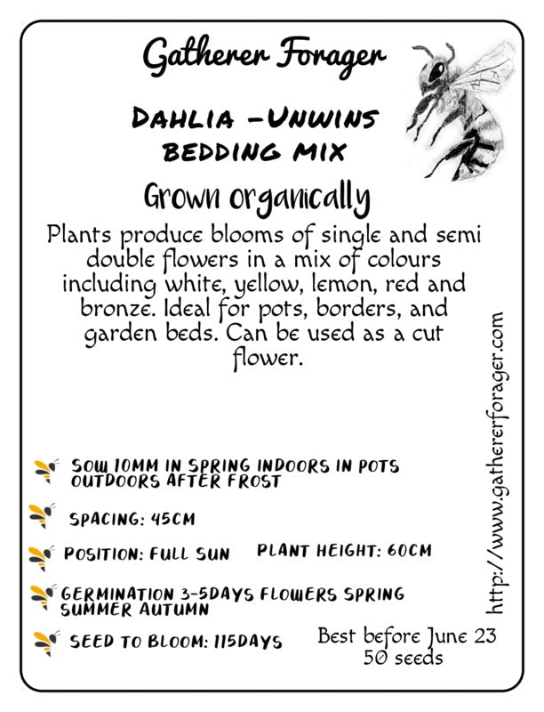 Dahlia unwins bedding mix