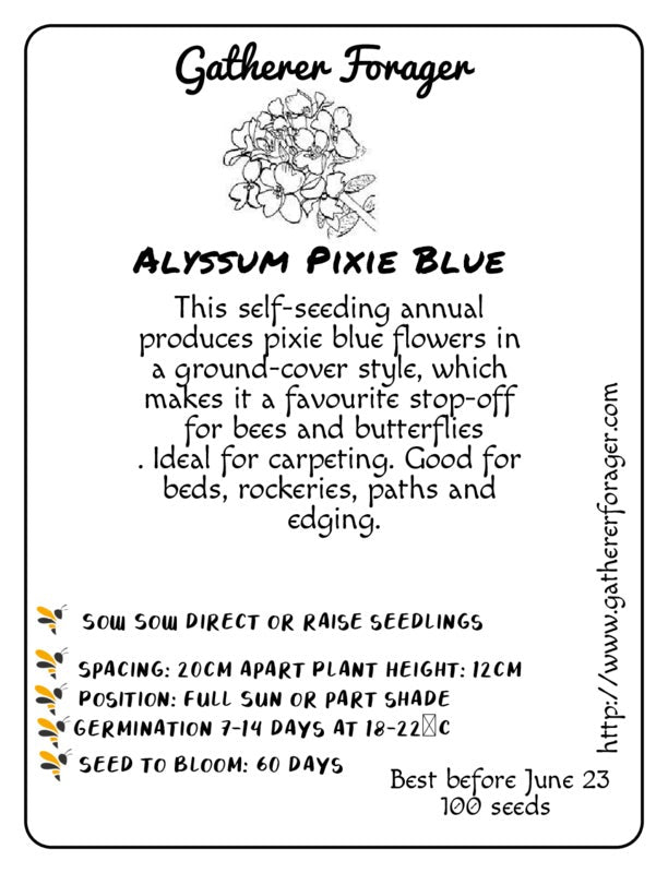 Alyssum Pixie blue Secondary image