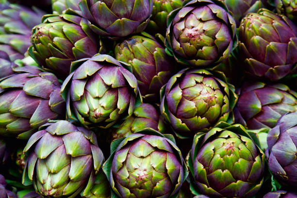 Purple Artichoke Hierloom seed 