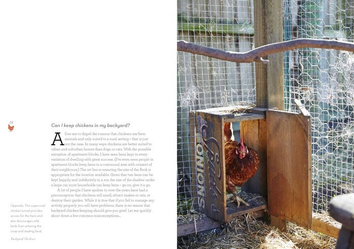 Backyard Chickens: How to keep happy hens Secondary image