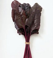 Beetroot Red Devil