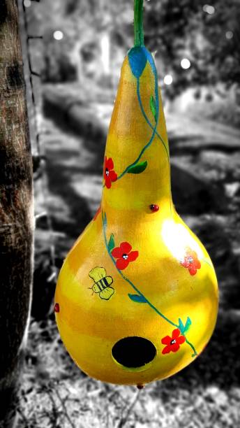 Birdhouse gourd seeds Australia