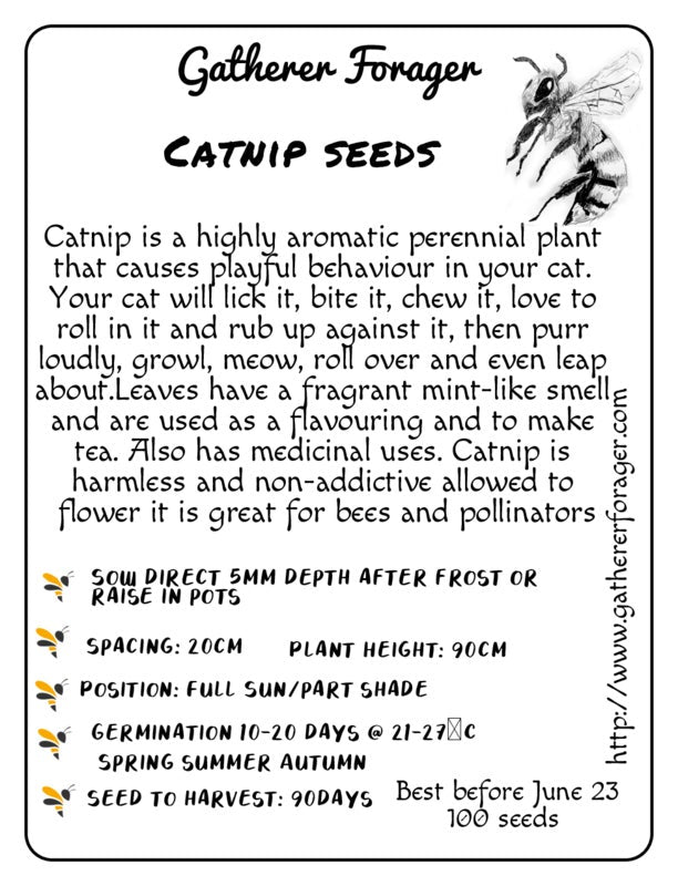 Catnip seeds Australia