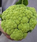 Cauliflower rare seeds Tasmania
