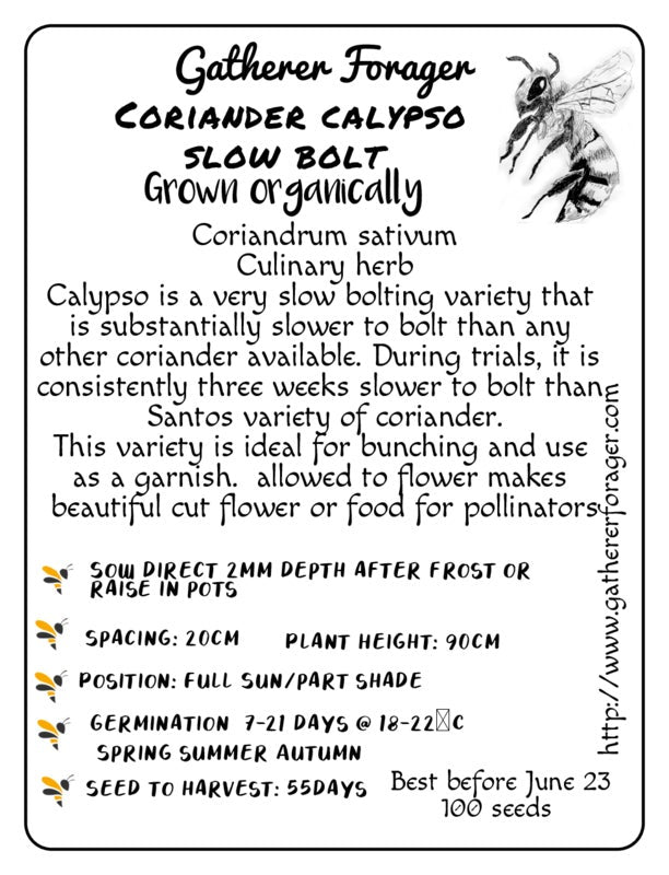 Coriander slow bolt seeds Australia 
