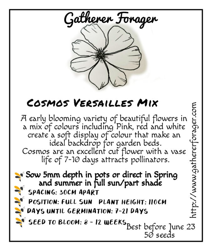 Cosmos Australian Flower seeds 