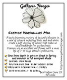 Cosmos Australian Flower seeds 