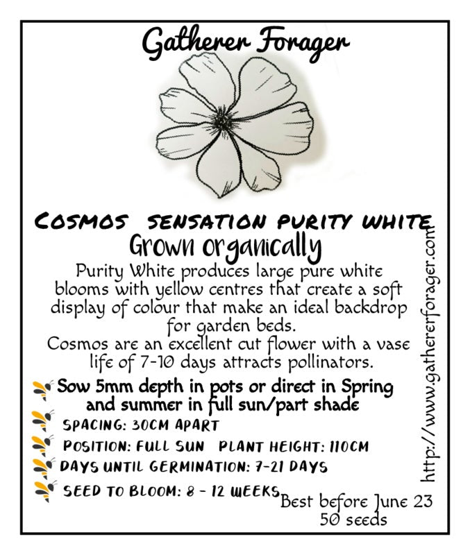 Flowers for bees Australia