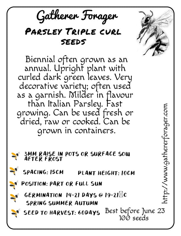 Parsley triple curled