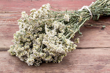 dried yarrow tasmania