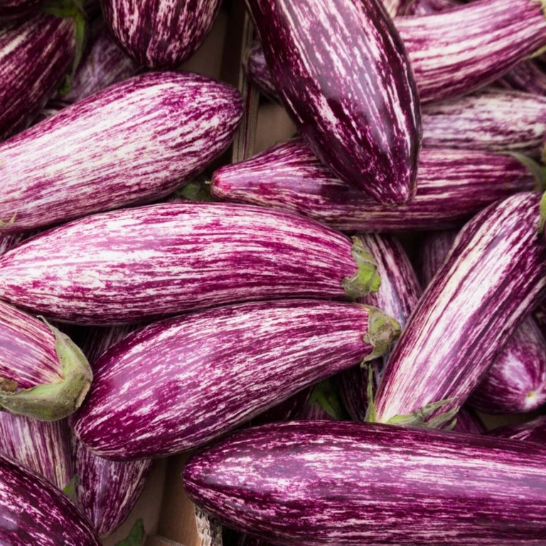 Organic Eggplant seeds Tasmania