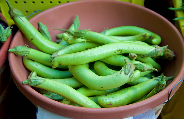 Eggplant seeds Tasmania 