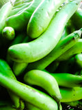 Eggplant Thai long green