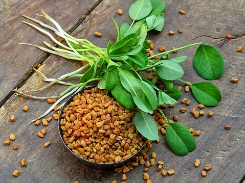 Fenugreek Seeds tasmania  Main image