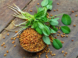 Fenugreek Seeds tasmania 