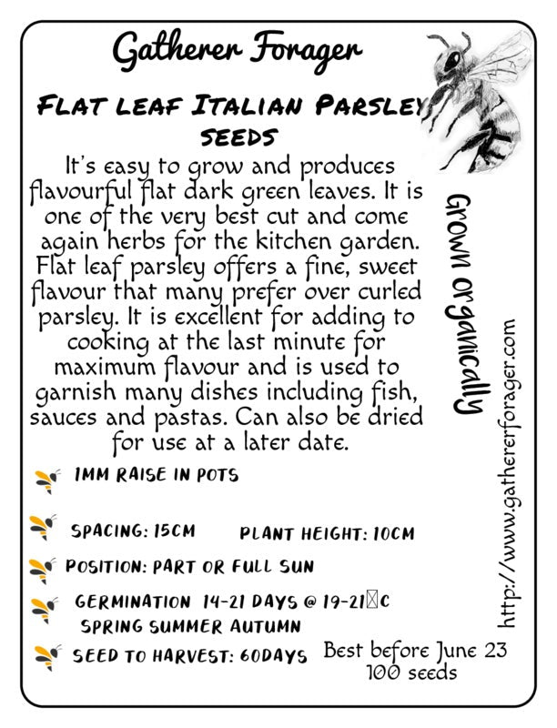 Parsley Italian flat leaf Secondary image