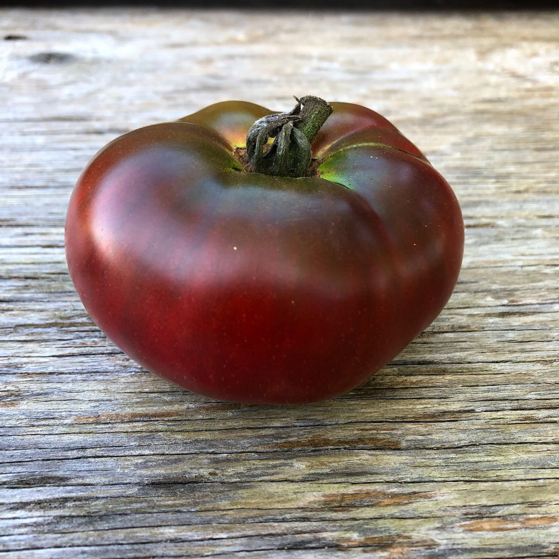Carbon tomato seeds Tasmania 