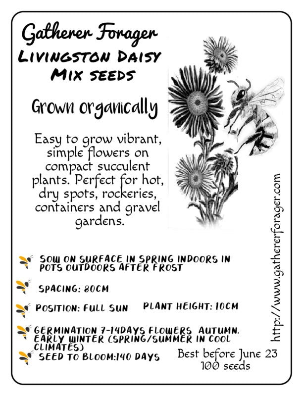Livingstone Daisy magic carpet mix