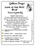 Love in the Mist Nigella Blue
