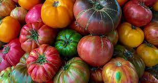 Mixed Heirloom Tomato