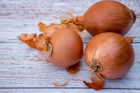 Onion Pukekohoe long keeper