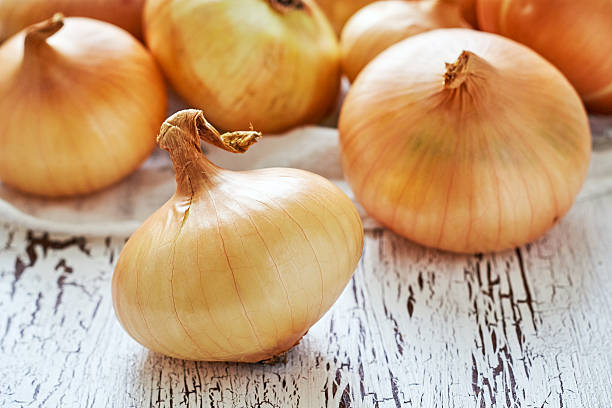 Onion Yellow Spanish Early Main image