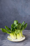 Pak choi white stem