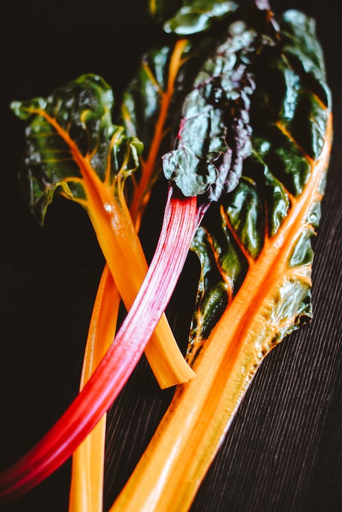 Rainbow Chard